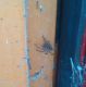 IMG_20140707_135452.jpg