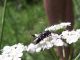DSCF3010.jpg