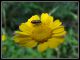DSCF2965.jpg