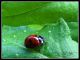DSCF2972.jpg