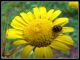 DSCF3068.jpg