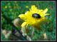 DSCF2989.jpg