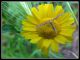 DSCF2974.jpg