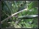 DSCF2881.jpg