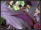 DSCF2912.jpg