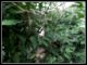 DSCF2914.jpg