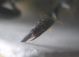 DSCN9413.JPG
