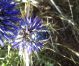 DSCN3847i.jpg