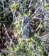 DSCN3847a.jpg
