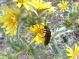 DSCN3851a.jpg