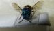 DSCF8035.JPG