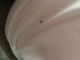 IMG-20140805-WA0000.jpg