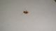 DSC02564_ok.JPG