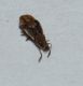 DSC_0333.JPG