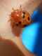 DSCN9754.JPG