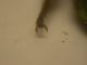 DSCN7816.JPG