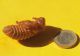 DSC_7421_small.jpg