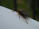 DSCN2555.JPG