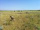 Nexus5_20140607_115823.jpg