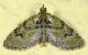 tempio16set14 003mod.jpg