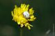 PentaxK20D_03.jpg
