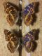 20131002_182139_resized.jpg