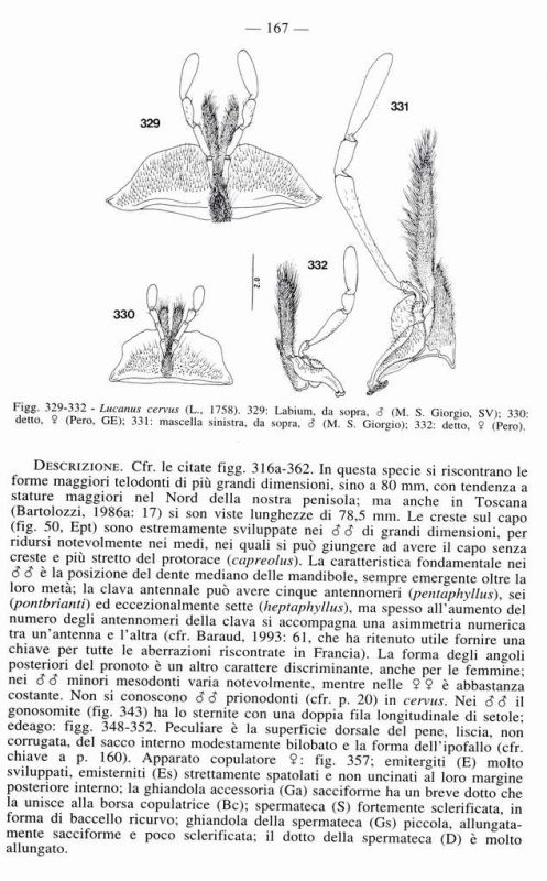 Franciscolo pag. 167.JPG