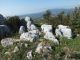 Artena_1-X-2014_Fu_038.JPG