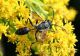 20140815_Pieve095_ter.JPG