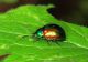 IMG_1912 copia.JPG