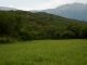 Pediasia forse 05-09-2012 Vezzano q.500.jpg