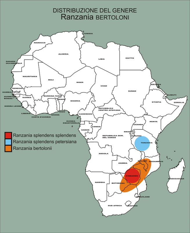 distribuzione Ranzania.png