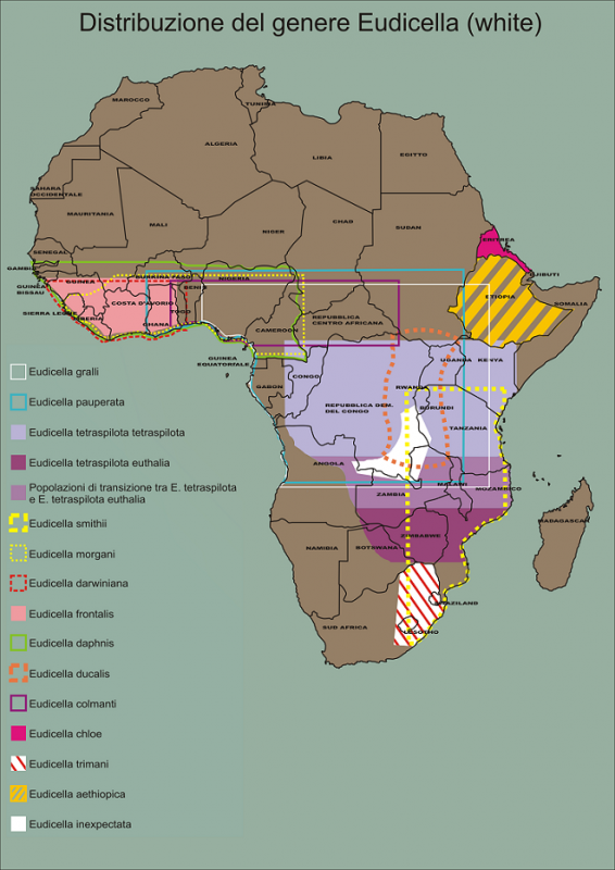 distrib eudicella africa.png