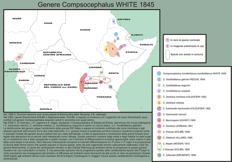 gen Compsocephalus, distribuzione.png