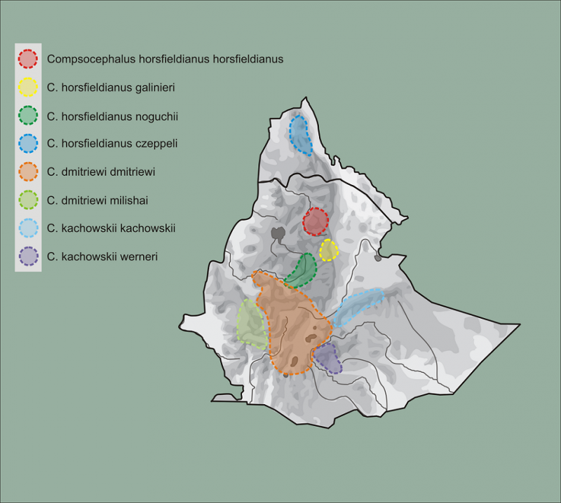 mappa distrib Comps eritrea etiopia.png