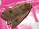 RSCN5183 (Small).JPG