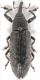 PMax-UDR-Lixus-cfr-bidens-up-web.jpg