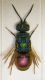 DSCF8188.JPG