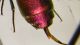 DSCF8204.JPG