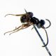 Torralba_13mag1995_vite_ombrello_1-2mm(1).jpg