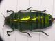 P1340748_.JPG