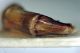 Scarabaeuolus_dorsal_lateral_from Namibia.jpg