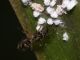 P1350502_.JPG