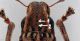 20090521225607_Curcu2.jpg