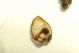 DSC05405.jpg