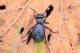 DSC_5153 ent.jpg
