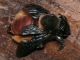 P1340541_.JPG