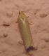 DSCN9578.JPG