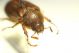 DSC05589.jpg