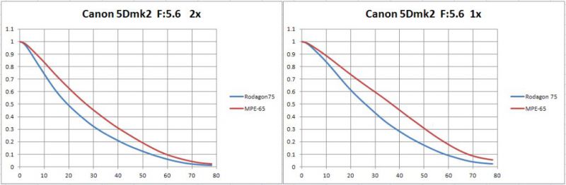 confronto_MPE_Rodagon.jpg